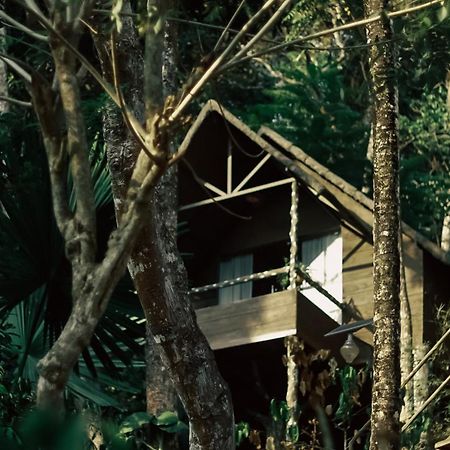 Panchavadi Farm Stay Thekkady Buitenkant foto